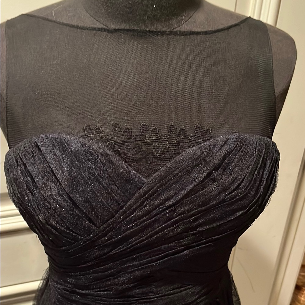 Elegant  Monique Lauauiller 
 Black  lace and sheer gown